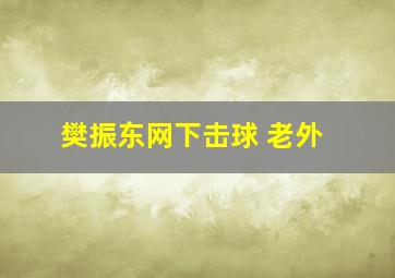 樊振东网下击球 老外